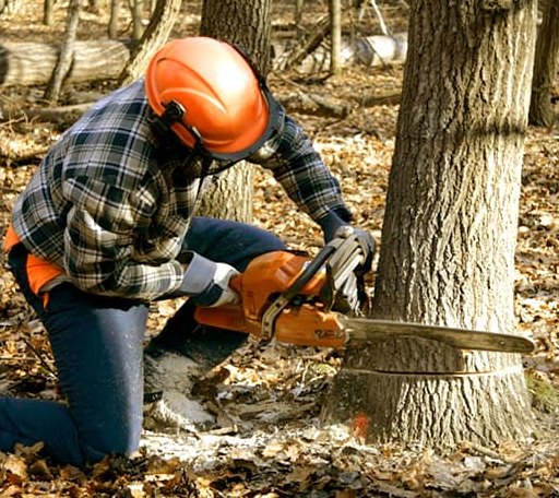 Tree Removal in Binger, OK